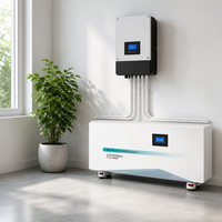 Batterie de stockage d'énergie LiFePO4 51,2 V 400 Ah 20,48 kWh, 6000 cycles, pour systèmes solaires hybrides hors réseau