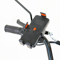 Sepeda Listrik Princess Ylang Ebike 800W 60V21AH Laris Manis dengan Dudukan Pengisi Daya Ponsel USB Rem Cakram Hidrolik Skuter Listrik