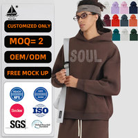 Sweat à capuche pour homme de haute qualité, multicolores, avec logo personnalisé, 100% coton, surdimensionné, automne, 350GSM, écologique, imperméable