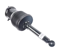 48010-50120 48010-50110 Amortiguador de Suspensión Neumática Delantero Izquierdo/Derecho para Lexus LS430 Airmatic