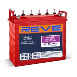 Batería solar tubular Reve de alta calidad de bajo mantenimiento de ciclo profundo 12V 200AH batería tubular para Tanzania más vendidos