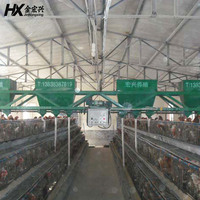 Équipement avicole automatique 15000 places, système de cages de batterie de type A pour l'élevage de poules pondeuses avec machine d'alimentation automatique