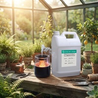 Huile parfumée personnalisée OEM pour humidificateur ultrasonique, huile de parfum synthétique d'aromathérapie à marque privée, fabricant, 5000 ml