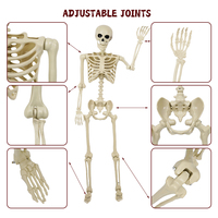 Articulations mobiles Os humains Corps entier Plastique effrayant 165cm Squelette d'Halloween pour décoration de fête d'Halloween
