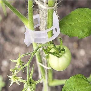 Clips <span class=keywords><strong>de</strong></span> plantes en plastique pinces pour plantes suspendues vigne jardin serre légumes tomates Clips raisin vigne Support treillis Clips - Product Image 5