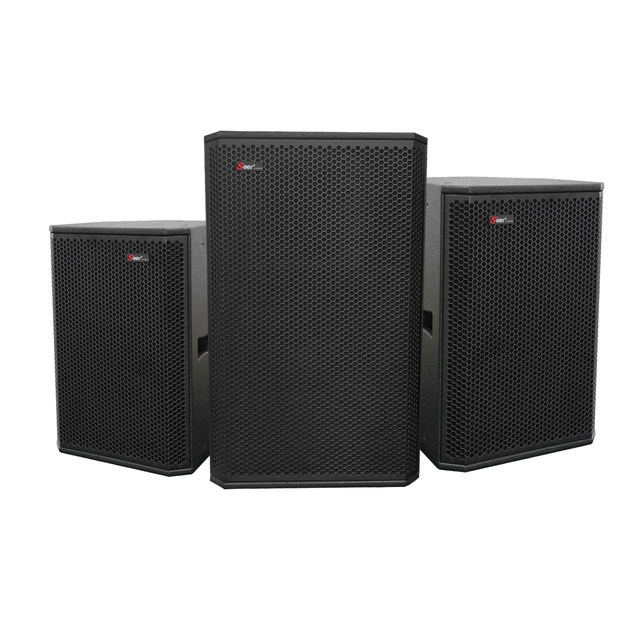 Seer TA-12 Professional Passive Two-Way Loudspeaker-350W RMS/700W Peak 12" Low 2" High Drivers 8 Ohm Impedance Birch Plywood