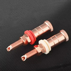 Plaque cuivre rouge OEM <span class=keywords><strong>Prise</strong></span> haut-parleur Adaptateur femelle Borne audio et vidéo Borne de liaison Borne <span class=keywords><strong>HIFI</strong></span> <span class=keywords><strong>Prise</strong></span> - Product Image 6