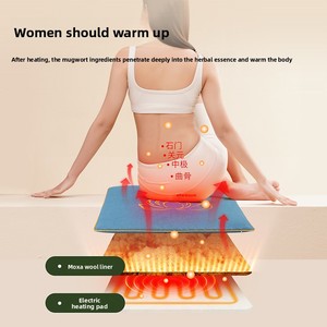 Cojín de asiento de moxibustión eléctrico con cremallera, paquete de calor de Artemisa de terciopelo, manta para comodidad de oficina, almohadas <span class=keywords><strong>lumbares</strong></span> largas, cojines de asiento - Product Image 1