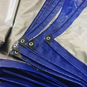 <span class=keywords><strong>Prix</strong></span> usine toutes les tailles bâche robuste étanche à la pluie couverture bâche sol <span class=keywords><strong>Camping</strong></span> feuille - Product Image 1