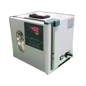 Mini incubateur de laboratoire thermostat incubateur bactériologique incubateur de laboratoire portable à convection naturelle