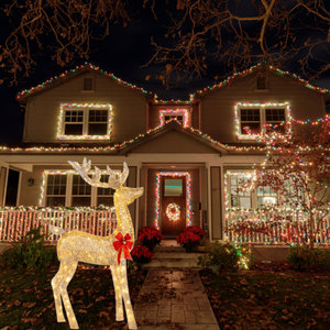 Luces LED con Tema de Reno Navideño, Decoración de Alce Navideño, Artículos Navideños, Reno Navideño Luminoso de Metal - Product Image 3