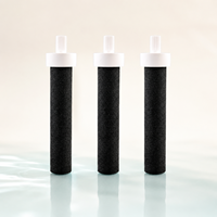 Filtre de remplacement pour bouteille d'eau, charbon actif PP, réduit les contaminants, le chlore, conserve les minéraux, sans BPA, pour la maison
