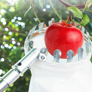 Cueilleur de fruits léger avec <span class=keywords><strong>sac</strong></span> <span class=keywords><strong>en</strong></span> <span class=keywords><strong>toile</strong></span> pour la récolte des pommes pêches mangues accessoire de jardin de qualité bricolage OEM personnalisable - Product Image 5