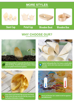 Disposable Birch Wood Cones for Sweets and Nuts-Eco-friendly Biodegradable Flexible DIY Food Safe Cones