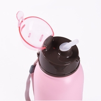 Boîte à Lunch en Plastique Motif Dessin Animé avec Bouteille Gourde et Paille, Set pour Enfants, Vente en Gros Fabricants