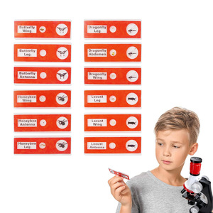<b>Microscope</b> slides, 12 slides/box, for insect creative science experiments for primary and secondary school students, plastic - Product Image 3