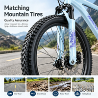Vélo de montagne Hardtail 26 pouces, cadre en acier à haute teneur en carbone, frein à disque mécanique, unisexe, pour la conduite hors route