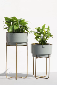 กระถางปลูกต้นไม้ชุบทอง2ชิ้น - Product Image 2