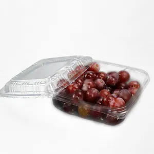 制造商定制透明水果容器塑料水果盒包装250g，500g，1500g