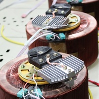 Stabilisateur de régulateur de tension électrique d'alimentation monophasé 1000va à 3000va AVR 220v Type de courant alternatif automatique