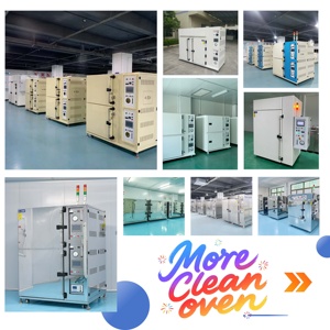 Forno a Pulizia Continua Flessibile |   Filtro HEPA Classe 100 con Velocità Regolabile per Polimerizzazione di Fotoresina e <span class=keywords><strong>PI</strong></span> - Product Image 4