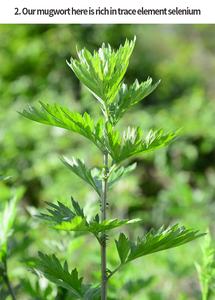 Bâton de moxibustion chaud de <span class=keywords><strong>médecine</strong></span> traditionnelle chinoise Rouleaux de moxa pur - Product Image 5