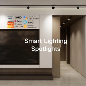 Foco empotrable <span class=keywords><strong>de</strong></span> techo <span class=keywords><strong>de</strong></span> doble cabeza minimalista CCT Foco Dali blanco sintonizable 10W <span class=keywords><strong>Sensor</strong></span> <span class=keywords><strong>de</strong></span> movimiento Foco regulable inteligente - Product Image 4
