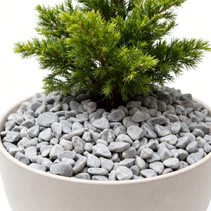 친환경 부드러운 둥근 회색 자갈 정원 파티오 수경 시설 조경용 자연 자갈 - Product Image 5
