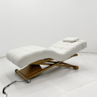 Table de massage électrique portable multifonctionnelle moderne avec dossier électrique en velours, cadre métallique et éponge haute densité pour les soins de beauté
