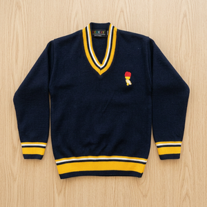 Nueva tendencia popular Proveedor indio Uniforme escolar con cuello en V para niños Durable y distribuido globalmente a granel - Product Image 2