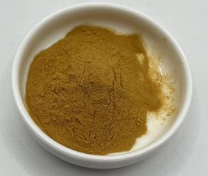 Fenugreekサポニン20% Fenugreekエキス10:1パウダー供給 - Product Image 4