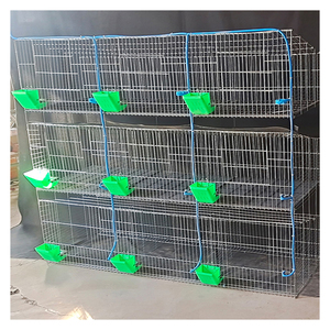 <span class=keywords><strong>9</strong></span> Of 12 Deuren Luxe Commerciële Konijnenkooi Met Automatische Konijnendrinker En Feedersysteem - Product Image 2