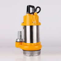 Pompe submersible DC sans balais pour irrigation efficace 200W 48/60/72V, hauteur de refoulement 40m, en acier inoxydable, moteur DC agricole, débit 8m³/h