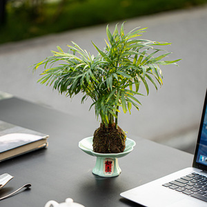 Plato decorativo redondo de cerámica con diseño de Mano de Buda y fruta de citrón para el Año Nuevo Chino, ideal para plantas de escritorio o hidroponía. - Product Image 3