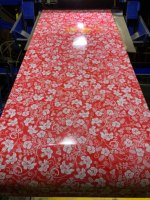 Fabrication en usine de produits en acier prélaqué et prépeint PPGI en bobine, acier galvanisé