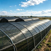 Zwarte HDPE warp gebreide, heavy-duty, UV-bestendige, anti-verouderings landbouw schaduwnet voor groenteteelt in kassen en tunnels.