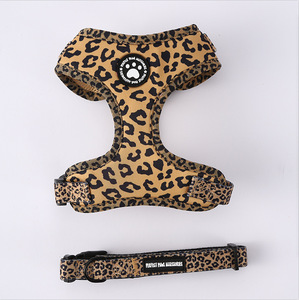 <span class=keywords><strong>Collar</strong></span> para Perro con Correa Ajustable para Paseos al Aire Libre - Juego 3 en 1 - Product Image 5