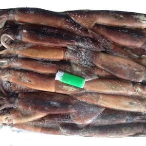Calamar Illex Congelado de Origen Argentino de Nueva <span class=keywords><strong>Temporada</strong></span>, Calamar Illex Congelado Entero Capturado con Pesca de Palangre - Product Image 3