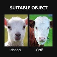 Écorneur électrique pour veaux, chèvres, moutons – Machine à écorner les veaux sans sang avec tête en cuivre et manche en bois