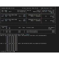Adaptor Dual SXM2 PCIe 300G NVLink Kecepatan Penuh dengan Catu Daya 600W