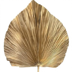 Precio de Fábrica, Abanico Grande de Hojas de Palma Secas Tropicales, Hojas de Palma Naturales Secas para el Hogar, Estilo Boho, Día de la Madre, Graduación - Product Image 1