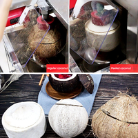 Ligne de transformation durable de la coque de noix de coco avec broyeur de coque de noix de coco et machine à découper les copeaux de coque de noix de coco