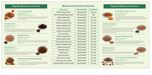 Extracto de <span class=keywords><strong>Coprinus</strong></span> <span class=keywords><strong>Comatus</strong></span> Shaggy Mane, Polvo de Polisacárido Beta Glucano, Impulso de Energía - Product Image 6