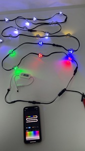 <span class=keywords><strong>Luz</strong></span> LED <span class=keywords><strong>de</strong></span> <span class=keywords><strong>Punto</strong></span> Pixel para Decoración Navideña Permanente, RGBW SPI, Impermeable IP67 para Exteriores, <span class=keywords><strong>Precio</strong></span> <span class=keywords><strong>de</strong></span> Fábrica - Product Image 5