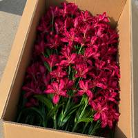 Penjual Bunga Lily Hyacinth Buatan dari Kain Sutra Real Touch yang Laris Manis, Set Meja Pernikahan
