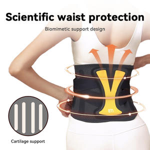 Ceinture lombaire de soutien du cartilage bionique professionnelle, disques intervertébraux, aide à l'entraînement physique, exercice, soutien du dos, santé - Product Image 2
