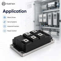 Module IGBT EVOL-EVWGM300B1-1170GDWB6EN 1200V 300A Triphasé à faible VCE(sat) pour variateur de moteur industriel