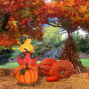 Meilleures ventes : Décoration de jardin et de pelouse en métal pour l'automne et Thanksgiving, avec motifs citrouille et dinde, pour patio et extérieur, Panneaux de jardin et de pelouse transfrontaliers - Product Image 2