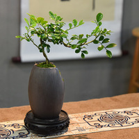 Bonsaï d'Osmanthus à petites feuilles en soie fait main, parfumé, moderne, plantes d'intérieur pour bureau et étude, longue durée de vie (3-5 ans), toutes saisons