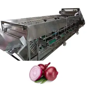 Onion Orange Vegetable and Fruit Sorting Machine Avocado Apricot Sorter Pomegranate Grading Machine